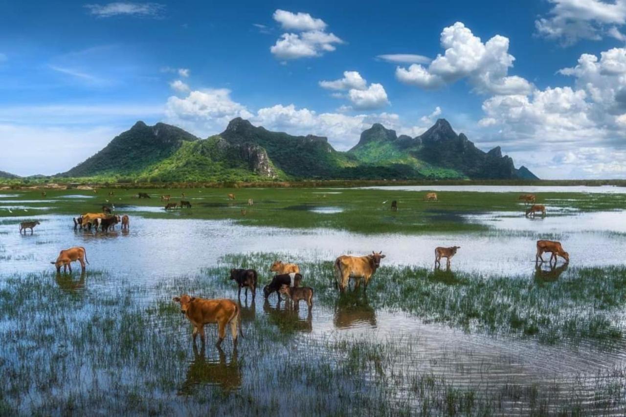 双手合十度假村 三百峰 外观 照片